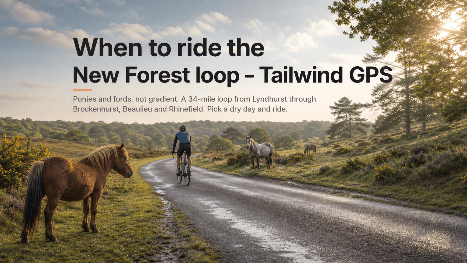 When to ride the New Forest loop