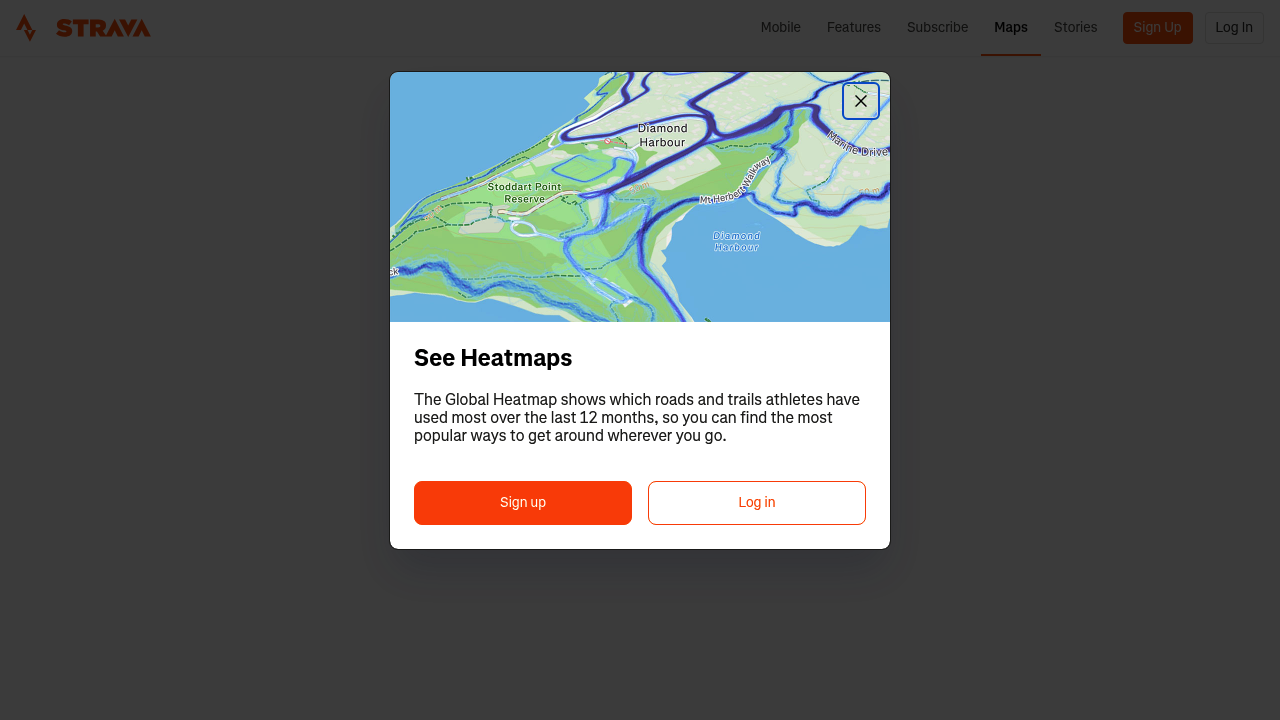 Screenshot of https://www.strava.com/maps/global-heatmap